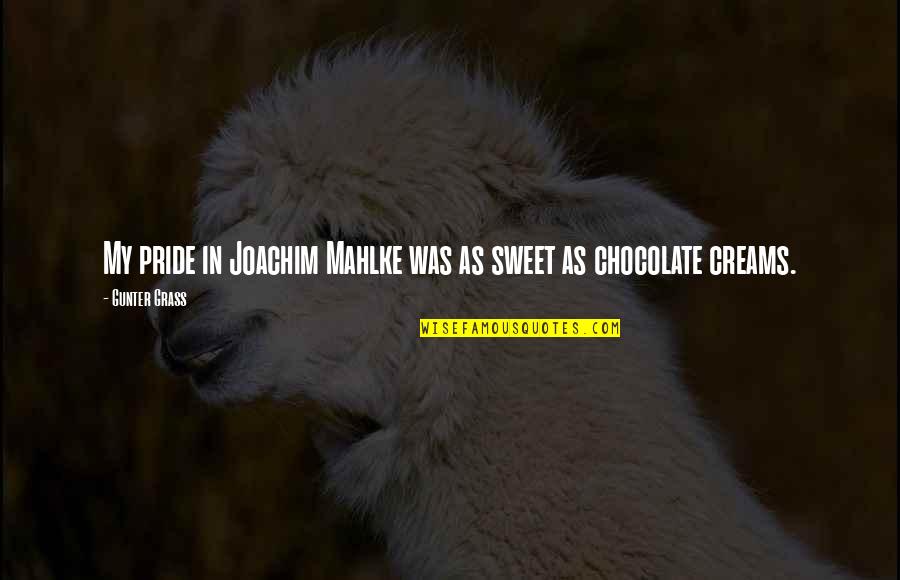 Your Sweet As Quotes By Gunter Grass: My pride in Joachim Mahlke was as sweet