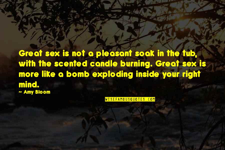 Your The Bomb Quotes By Amy Bloom: Great sex is not a pleasant soak in Your The Bomb Quotes By Amy Bloom: Great sex is not a pleasant soak in