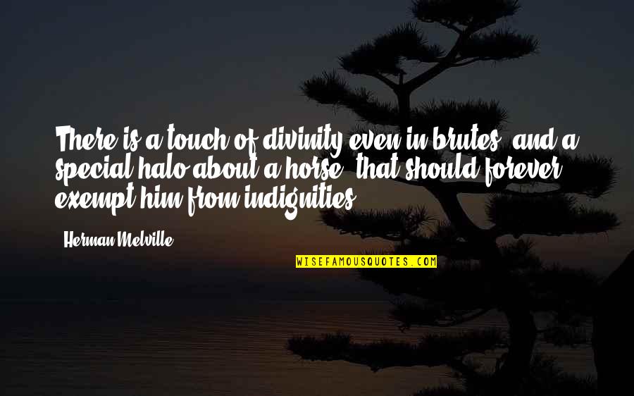 Your Touch Is Special Quotes By Herman Melville: There is a touch of divinity even in