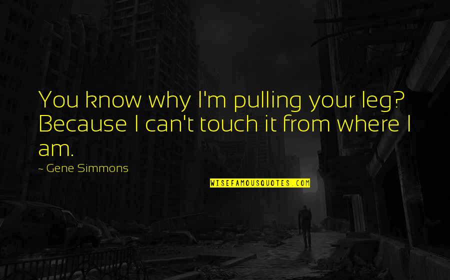 Your Touch Quotes By Gene Simmons: You know why I'm pulling your leg? Because