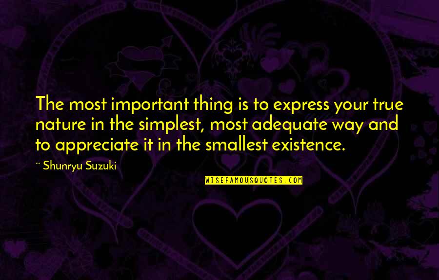 Your True Nature Quotes By Shunryu Suzuki: The most important thing is to express your