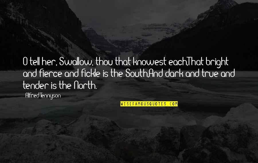 Your True North Quotes By Alfred Tennyson: O tell her, Swallow, thou that knowest each,That