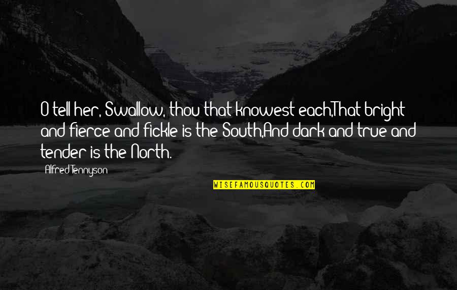 Your True North Quotes By Alfred Tennyson: O tell her, Swallow, thou that knowest each,That Your True North Quotes By Alfred Tennyson: O tell her, Swallow, thou that knowest each,That