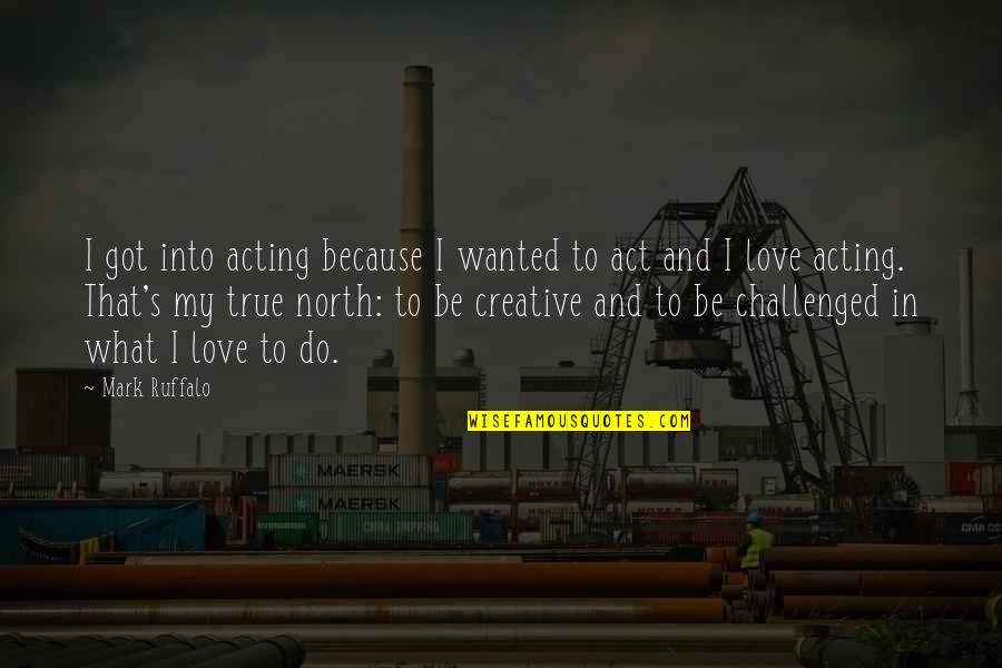 Your True North Quotes By Mark Ruffalo: I got into acting because I wanted to Your True North Quotes By Mark Ruffalo: I got into acting because I wanted to