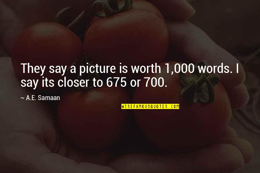 Your True Worth Quotes By A.E. Samaan: They say a picture is worth 1,000 words.