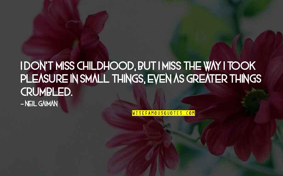 Your Voice Matters Quotes By Neil Gaiman: I don't miss childhood, but I miss the