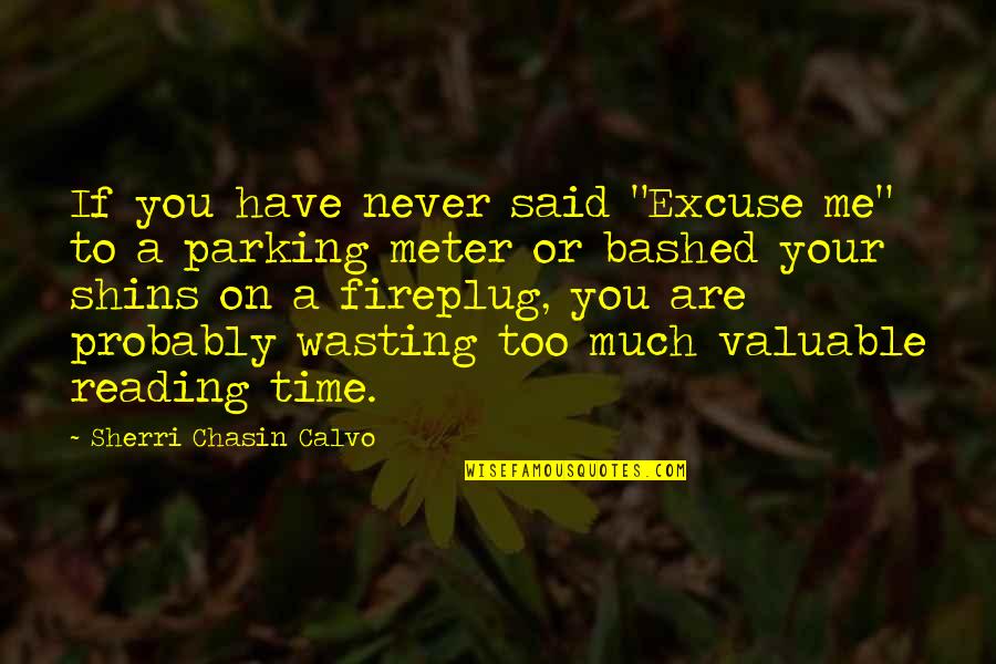 Your Wasting Your Time Quotes By Sherri Chasin Calvo: If you have never said "Excuse me" to