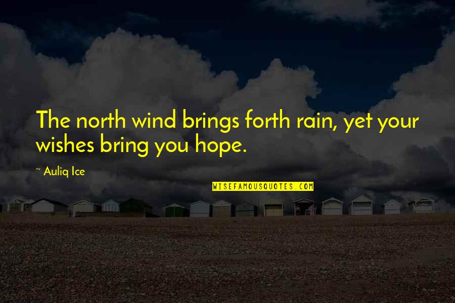 You're A Wonderful Human Being Quotes By Auliq Ice: The north wind brings forth rain, yet your