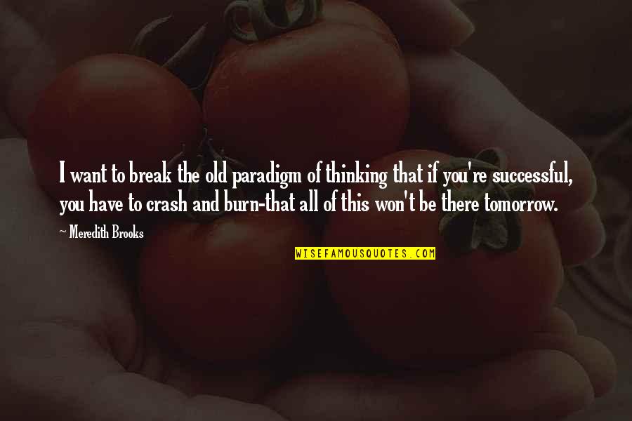 You're All I Want Quotes By Meredith Brooks: I want to break the old paradigm of