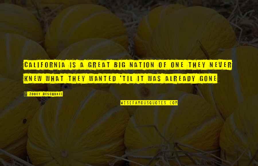 You're Already Gone Quotes By Zooey Deschanel: California is a great big nation of one