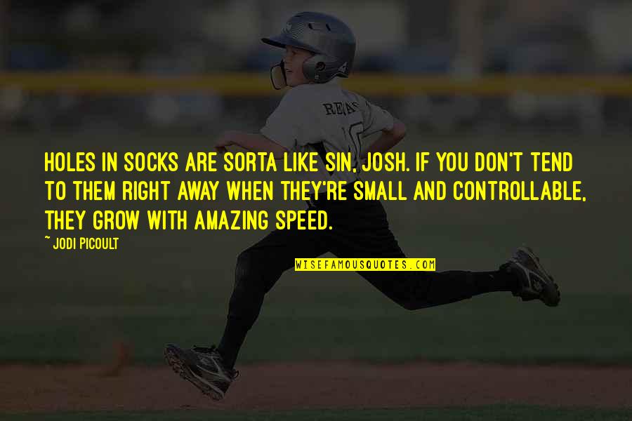 You're Amazing Quotes By Jodi Picoult: Holes in socks are sorta like sin, Josh.