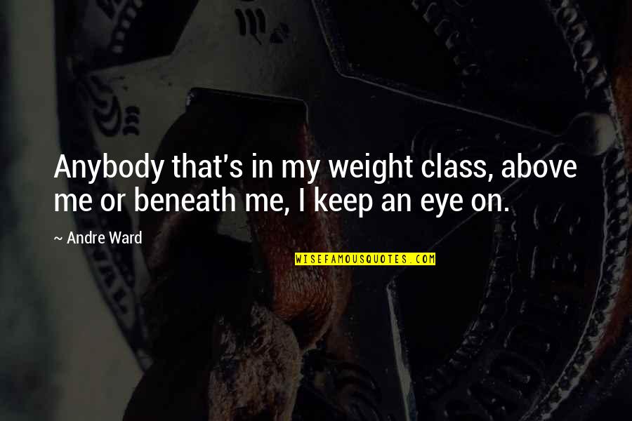 You're Beneath Me Quotes By Andre Ward: Anybody that's in my weight class, above me