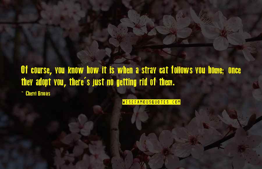 You're Getting There Quotes By Cheryl Brooks: Of course, you know how it is when