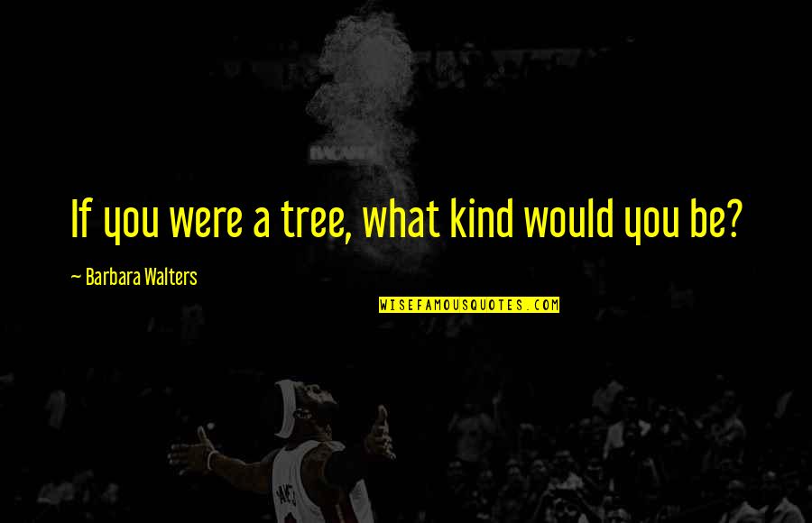 You're Gorgeous Quotes By Barbara Walters: If you were a tree, what kind would