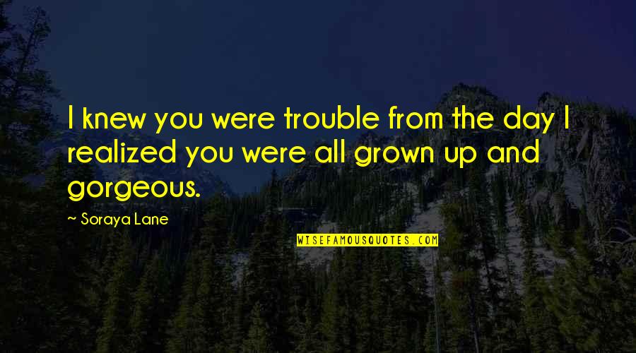 You're Gorgeous Quotes By Soraya Lane: I knew you were trouble from the day