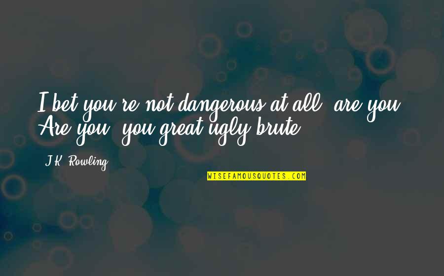 You're Great Quotes By J.K. Rowling: I bet you're not dangerous at all, are
