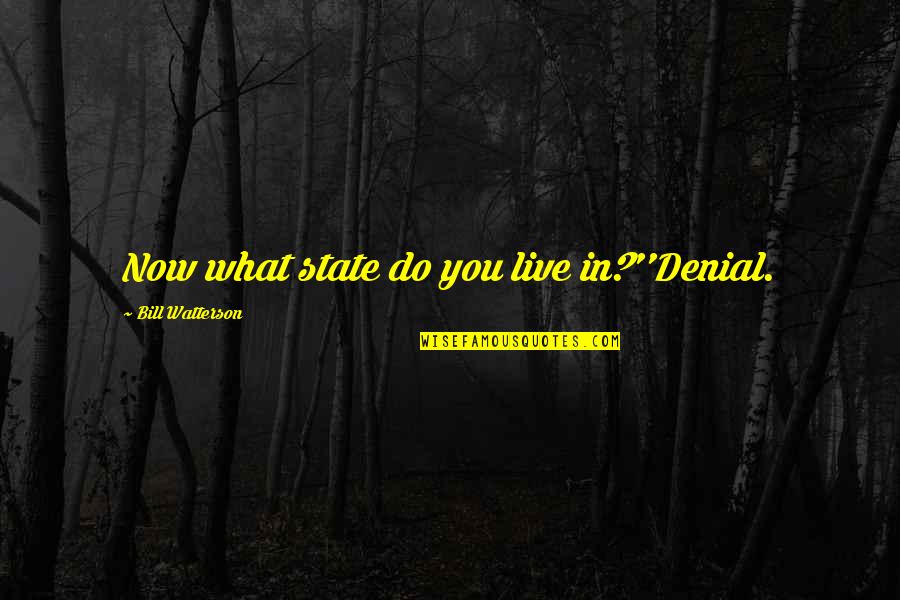 You're In Denial Quotes By Bill Watterson: Now what state do you live in?''Denial.
