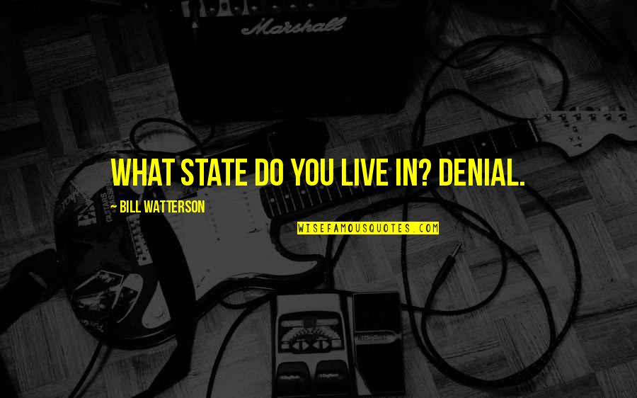 You're In Denial Quotes By Bill Watterson: What state do you live in? Denial.