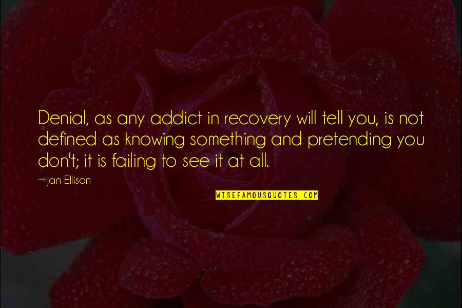 You're In Denial Quotes By Jan Ellison: Denial, as any addict in recovery will tell