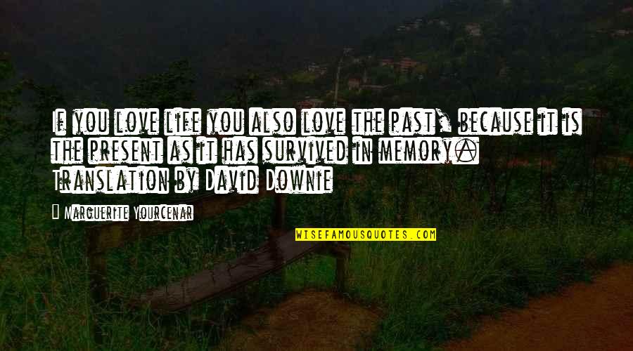 You're In The Past Quotes By Marguerite Yourcenar: If you love life you also love the