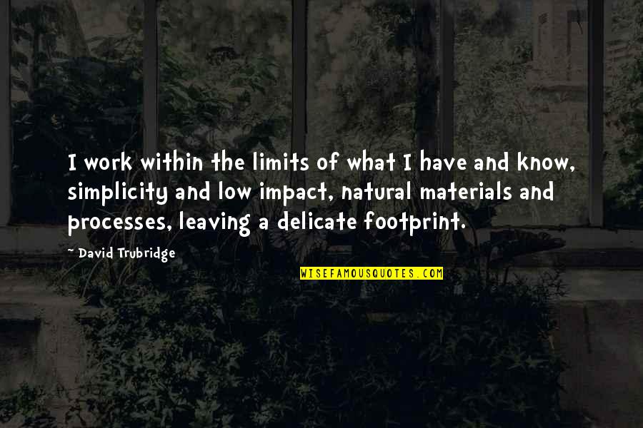 You're Leaving Work Quotes By David Trubridge: I work within the limits of what I