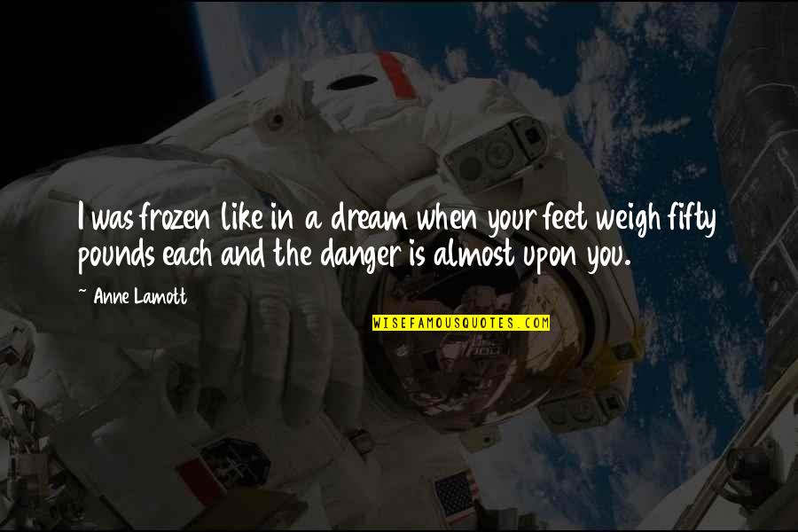 You're Like A Dream Quotes By Anne Lamott: I was frozen like in a dream when