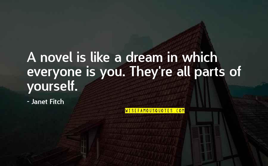 You're Like A Dream Quotes By Janet Fitch: A novel is like a dream in which