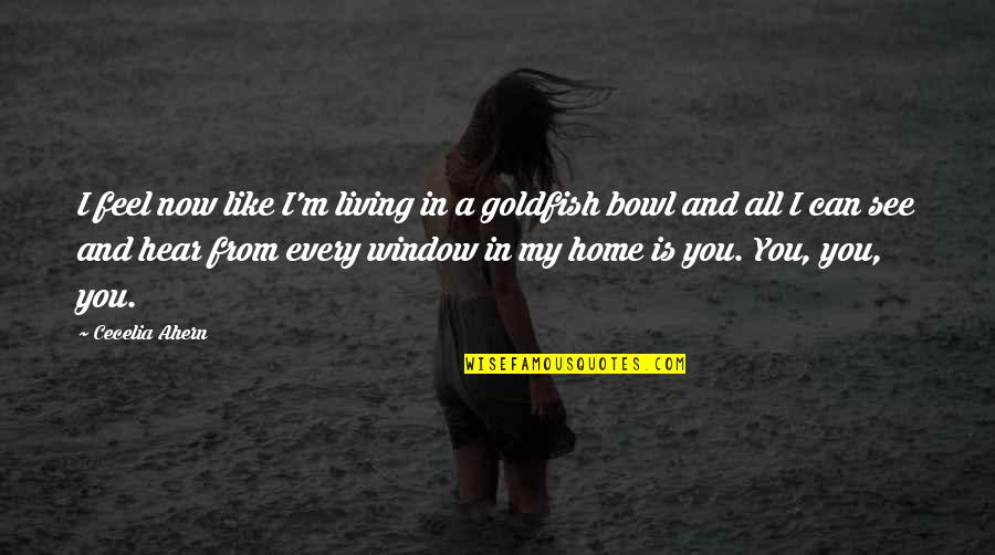 You're My Home Quotes By Cecelia Ahern: I feel now like I'm living in a