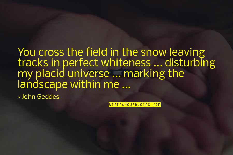 You're My Perfect Quotes By John Geddes: You cross the field in the snow leaving