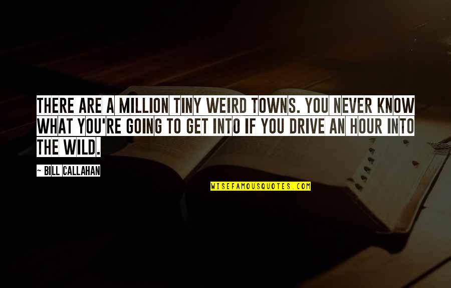You're Never There Quotes By Bill Callahan: There are a million tiny weird towns. You
