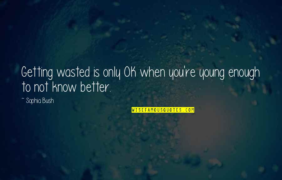 You're Not Better Quotes By Sophia Bush: Getting wasted is only OK when you're young