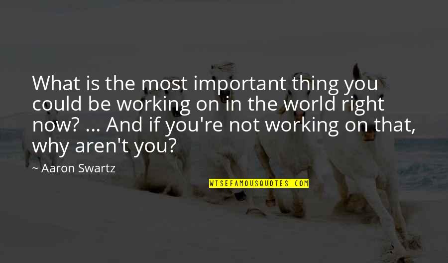 You're Not Important Quotes By Aaron Swartz: What is the most important thing you could