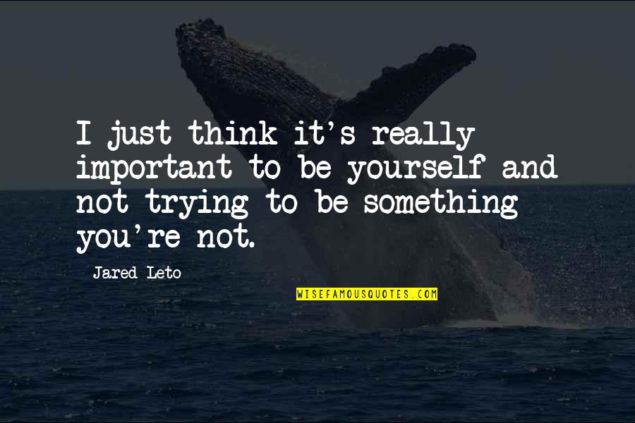 You're Not Important Quotes By Jared Leto: I just think it's really important to be