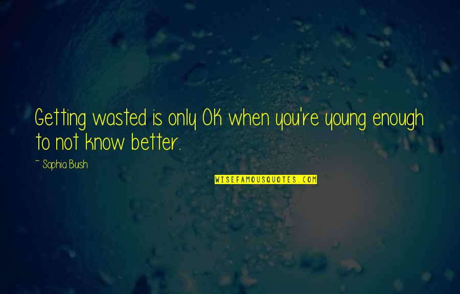 You're Not Ok Quotes By Sophia Bush: Getting wasted is only OK when you're young