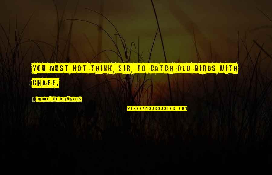 You're Not Old Quotes By Miguel De Cervantes: You must not think, sir, to catch old