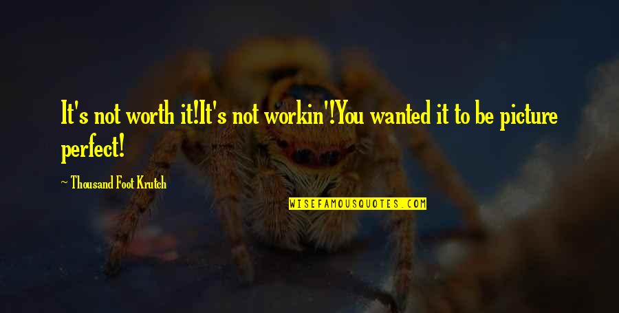 You're Not Perfect But You're Worth It Quotes By Thousand Foot Krutch: It's not worth it!It's not workin'!You wanted it