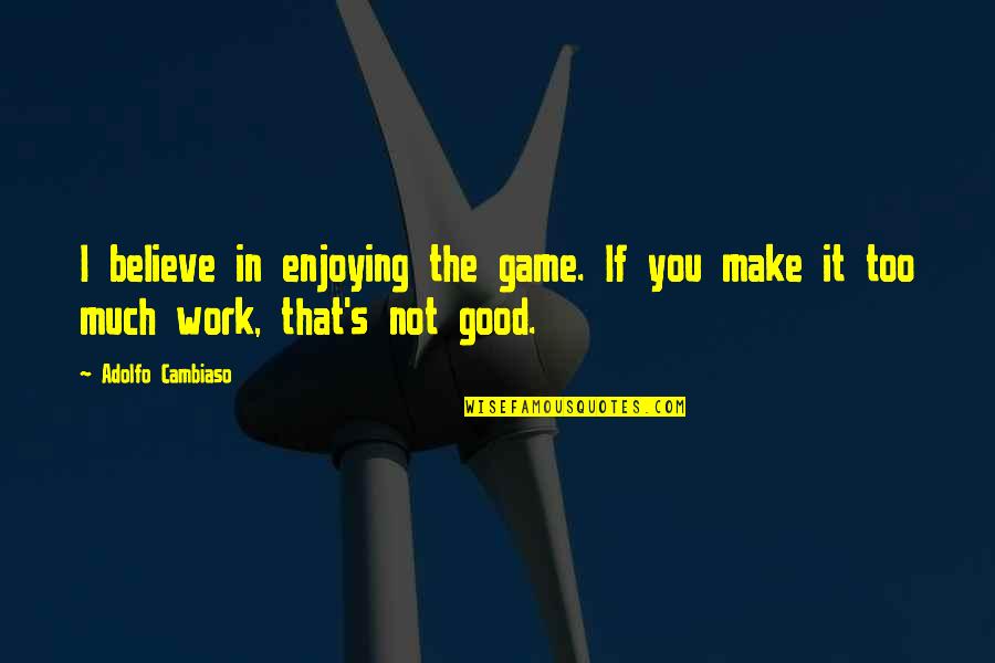 You're Not That Good Quotes By Adolfo Cambiaso: I believe in enjoying the game. If you