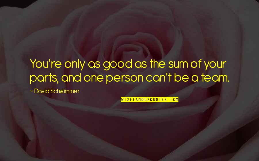 You're Only One Person Quotes By David Schwimmer: You're only as good as the sum of