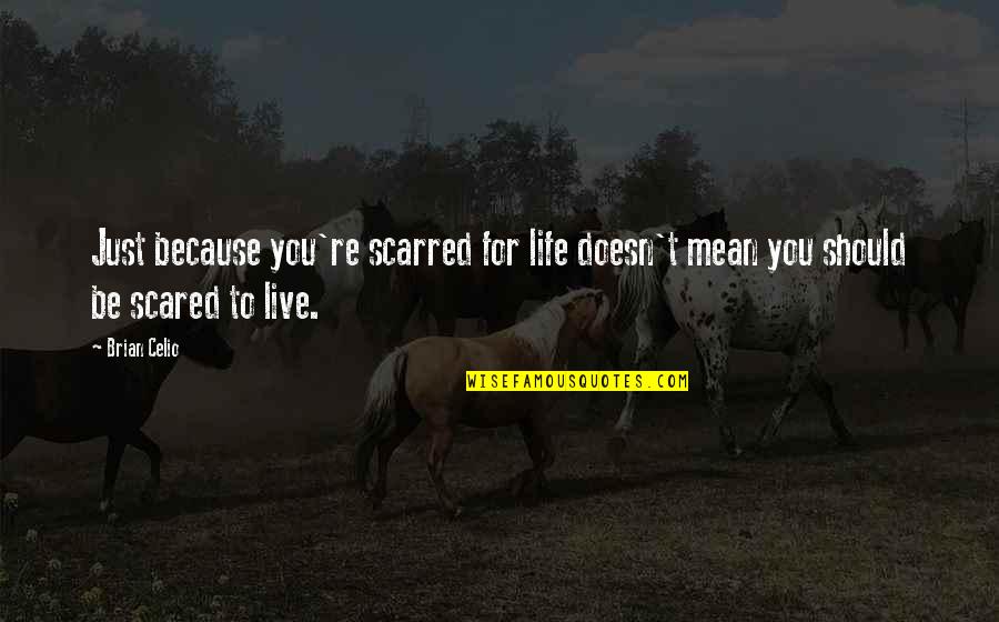 You're Scared Quotes By Brian Celio: Just because you're scarred for life doesn't mean