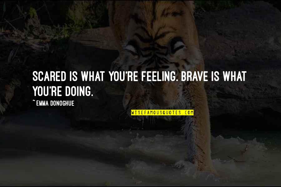 You're Scared Quotes By Emma Donoghue: Scared is what you're feeling. Brave is what