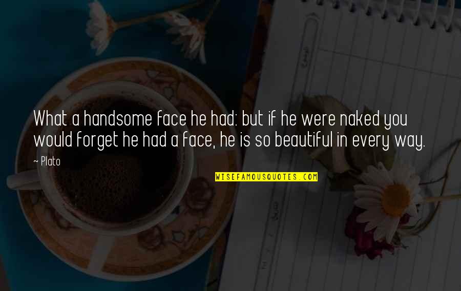 You're So Beautiful Quotes By Plato: What a handsome face he had: but if
