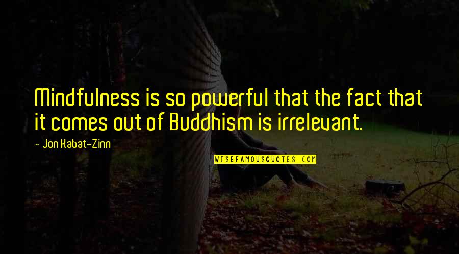 You're So Irrelevant Quotes By Jon Kabat-Zinn: Mindfulness is so powerful that the fact that