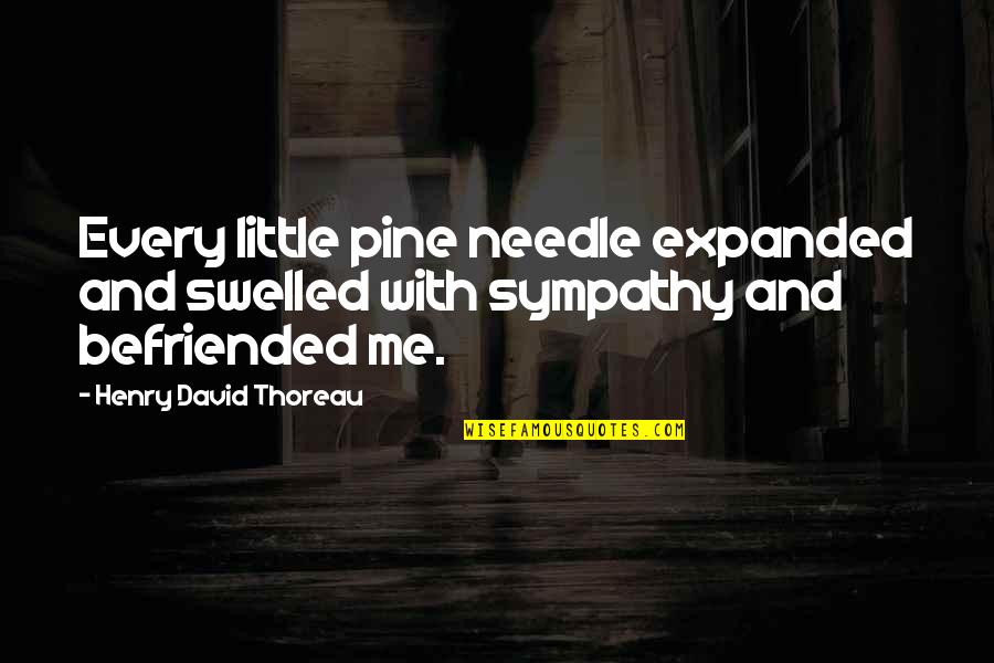 Youre So Rude Quotes By Henry David Thoreau: Every little pine needle expanded and swelled with