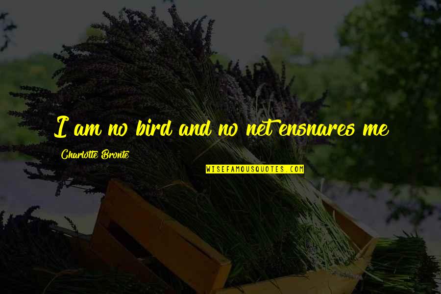 You're Stuck In My Mind Quotes By Charlotte Bronte: I am no bird and no net ensnares