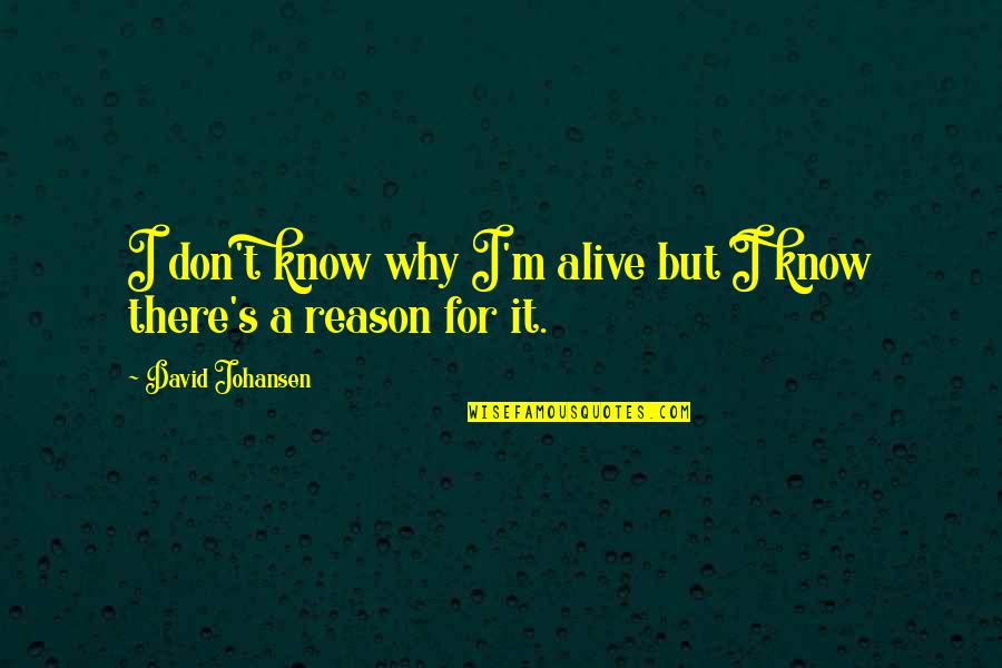 You're The Reason I'm Alive Quotes By David Johansen: I don't know why I'm alive but I You're The Reason I'm Alive Quotes By David Johansen: I don't know why I'm alive but I