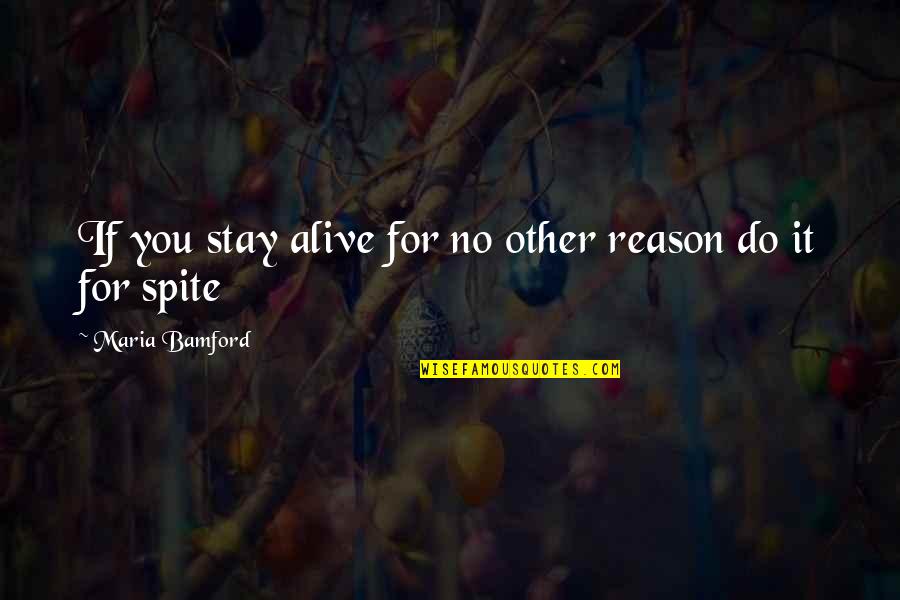 You're The Reason I'm Alive Quotes By Maria Bamford: If you stay alive for no other reason You're The Reason I'm Alive Quotes By Maria Bamford: If you stay alive for no other reason