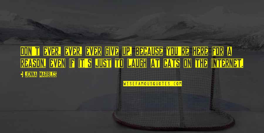 You're The Reason Quotes By Jenna Marbles: Don't ever, ever, ever give up, because you're You're The Reason Quotes By Jenna Marbles: Don't ever, ever, ever give up, because you're