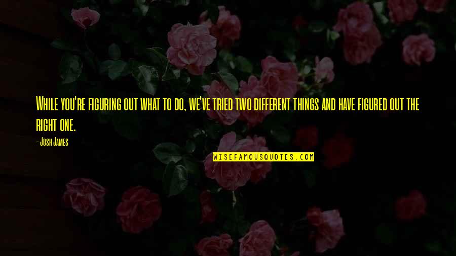 You're The Right One Quotes By Josh James: While you're figuring out what to do, we've