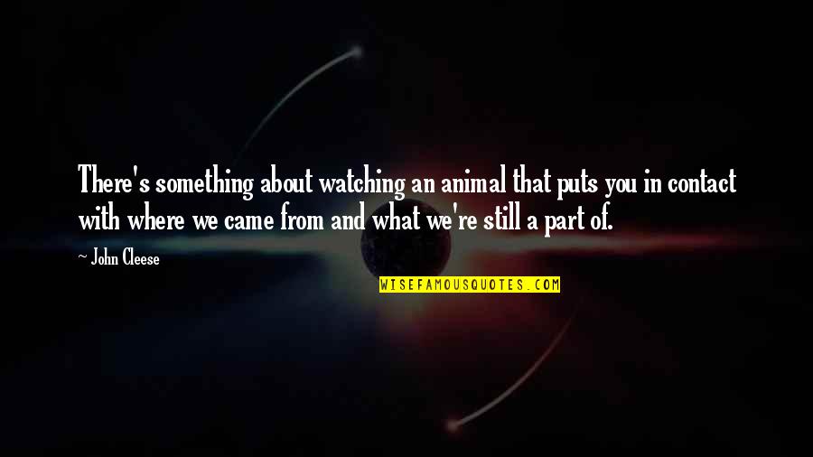 You're There Quotes By John Cleese: There's something about watching an animal that puts