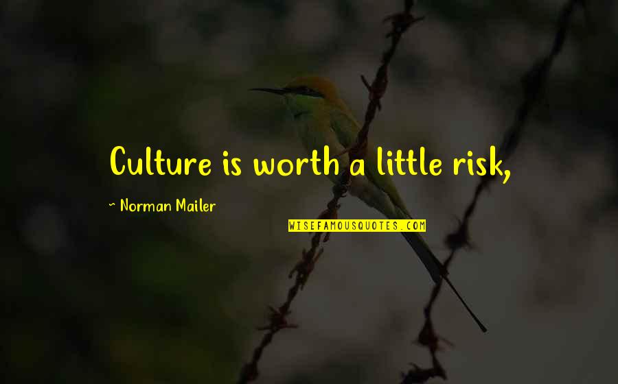 You're Worth The Risk Quotes By Norman Mailer: Culture is worth a little risk,